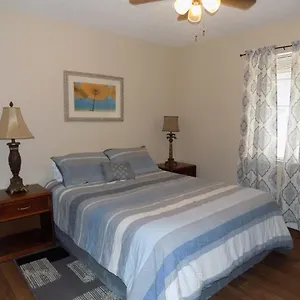 Cozy Comfort Apartment